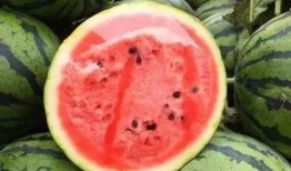 吃瓜吗吃瓜吗吃瓜吗