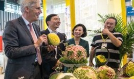 热情吃瓜群众浪天,揭秘网络热点的幕后故事