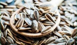 瓜子图片吃瓜,瓜子图片中的夏日清凉时光