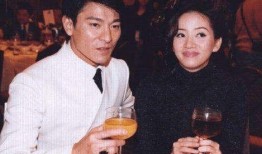 吃瓜直播梅艳芳刘德华,吃瓜直播再现经典瞬间