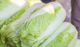 临淄吃大瓜,大瓜盛宴，味蕾狂欢之旅