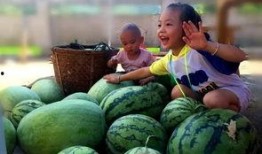 地里吃瓜去了,地里吃瓜去，享受田园生活乐趣