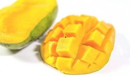 豹纹芒果带你吃瓜