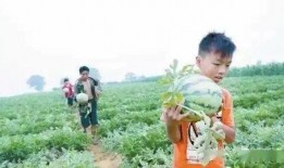 吃瓜盘点00后,揭秘网络热点的青春视角