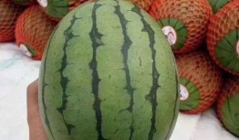 威海乳山吃瓜聊天,畅享海滨悠闲时光