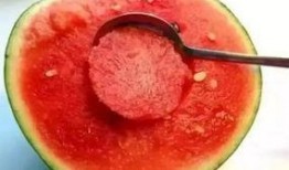 梦见吃红瓜孑,揭秘红瓜孑的神秘寓意