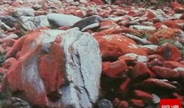 红石公园吃瓜视频,揭秘公园里的那些事儿