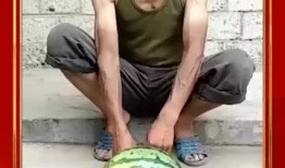 大爷树下吃瓜,大爷悠闲时光的温馨写照