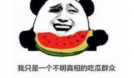 吃瓜大王的意思,吃瓜大王的独家爆料与幕后真相