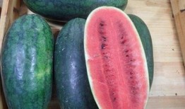 51热门吃瓜今日吃瓜17,今日吃瓜17，揭秘娱乐圈最新热点事件