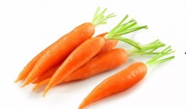 吃瓜不吃胡萝卜,胡萝卜，你真的了解吗？