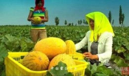 带你吃瓜神奇滑梯,畅游欢乐时光