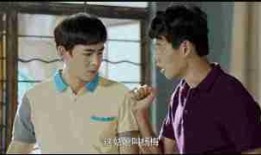 追星吃瓜记小说,从追星到吃瓜的奇幻旅程