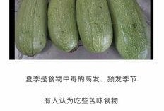白色圆瓜怎么吃,解锁美味新境界