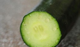 吃瓜最快方法,一招教你成为吃瓜高手