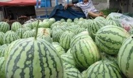 公路上吃瓜,夏日出行好心情