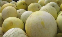 健身吃白兰瓜,白兰瓜助力健康塑形