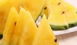 带你吃瓜作品,揭秘带你吃瓜作品背后的故事与魅力