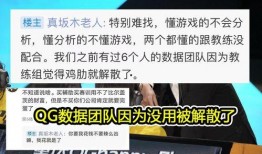 fly吃久诚瓜,一场电竞巅峰对决的精彩回顾