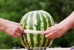 吃瓜怎么吃得更快视频,揭秘如何快速吃瓜技巧