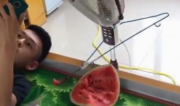 自动吃瓜机价格,价格揭秘，智能生活新宠儿