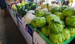 吃瓜交易市场,瓜界风云录