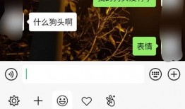 手机表情吃瓜什么意思,揭秘网络热词背后的趣味与内涵