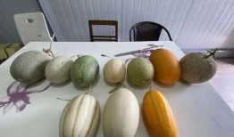 吃瓜嘴里起泡,揭秘网络热议背后的心理现象