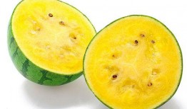 吃的黄瓤瓜,探寻美味与营养的完美融合