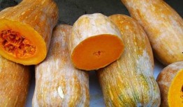 孕妇可以吃馕瓜,馕瓜，孕妇的滋补佳品