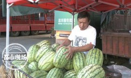 天天吃瓜网,天天吃瓜网带你领略明星幕后故事