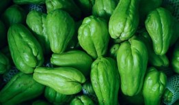 瓜里面的瓜洋可以吃吗,揭秘可食用瓜类中的珍稀品种