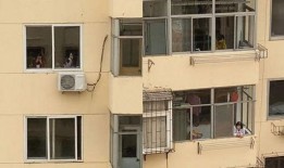 趴窗户吃瓜,揭秘趴窗户吃瓜的趣味生活