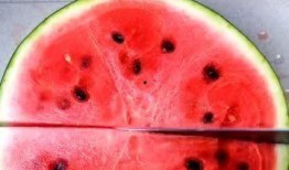 吃瓜窜稀图片,揭秘网络热图背后的趣味与思考