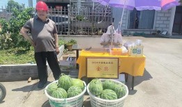 赣榆吃瓜王,揭秘当地特色美食背后的故事