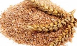 吃瓜小熊麦麸,揭秘瓜界萌宠的趣味生活