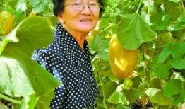 吃瓜的蚕,探寻吃瓜蚕的奇妙世界