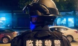 吃瓜底线vlog,Vlog带你领略网络舆论的边界