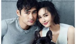 明星吃瓜表白视频合集,明星吃瓜表白视频合集大盘点