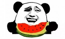 女配在吃瓜现场,笑料百出，揭秘娱乐圈幕后真相