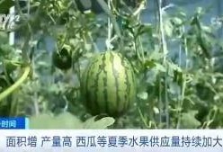 隼歌的吃瓜群众,揭秘娱乐圈的吃瓜群众众生相