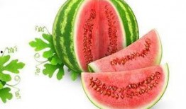 小占瓜怎么吃,解锁美味新体验