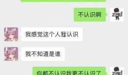 吃瓜内娱打包聊