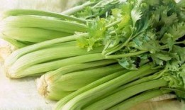 吃茄瓜可以吃芹菜吗,同餐共食的健康搭配指南