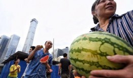 朝阳群众吃大瓜,吃大瓜背后的故事与真相