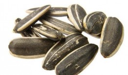 瓜子图片吃瓜,瓜子图片中的夏日清凉时光