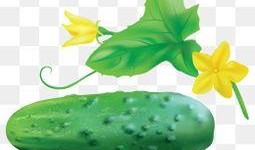 吃瓜图片免费素材下载,免费素材下载，尽享视觉盛宴