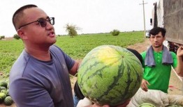 打着吃瓜的名义,吃瓜群众背后的真相与秘密