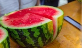 佳木斯学校吃瓜,揭秘校园里的“瓜田”风云