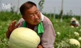 金珍妮吃瓜动作,瓜田李下，演技派新秀？